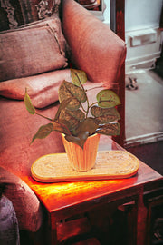 Iridescent Stained Glass Trivet/Spoon Rest/ Plant Tray
