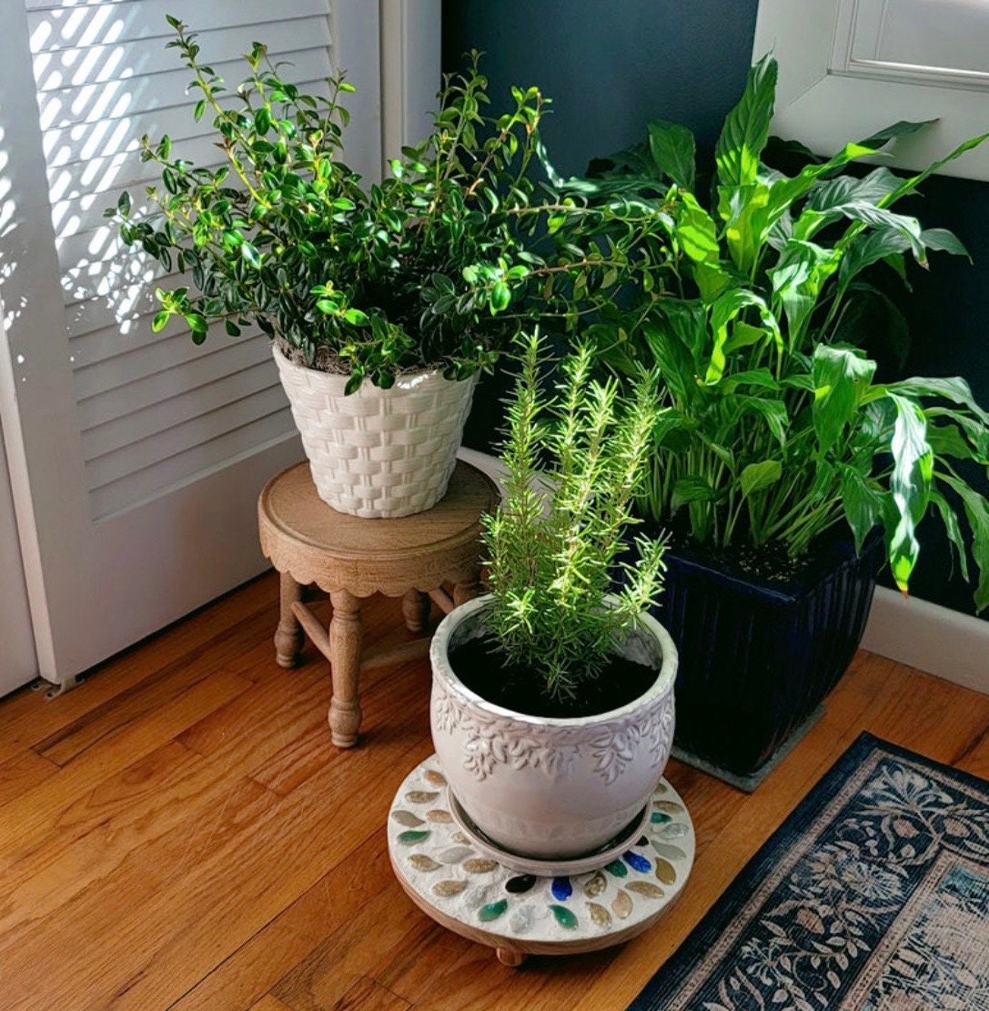 Handcrafted earth tone mosaic plant stand with multiple legs, designed for supporting potted plants in indoor or outdoor spaces.