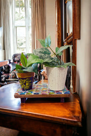 Mosaic Plant Stand | Kitchen Riser | Plant Riser | Decor Riser | Decorative Stand | Mosaic Plant Gift | Colorful Tile Gift | Table Riser