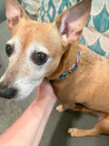 Handmade one-of-a-kind dog collar with colorful patterns and leather accents, crafted by My Store.