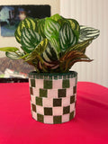 Modern green and white checkerboard mosaic herb planter with square shape and decorative design for indoor or outdoor use.