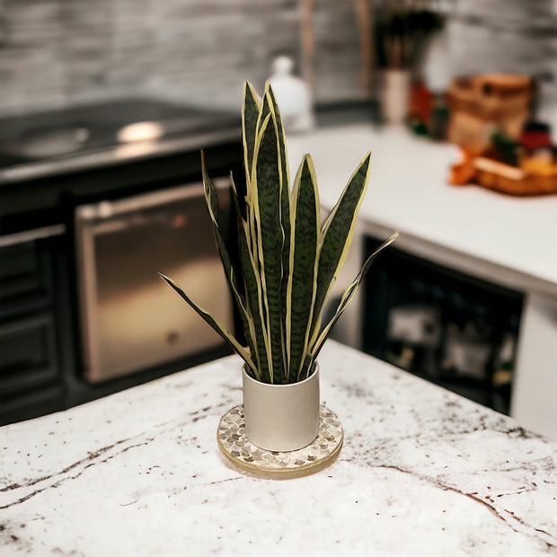 Large Light Wood Look Handmade Plant Stand