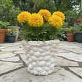 Handcrafted seashell mosaic plant pot with intricate shell patterns, suitable for indoor or outdoor decoration.