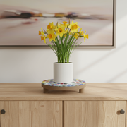 Rainbow Stand for Plants or Home Decor