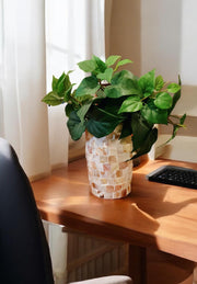 8” tall by 5” wide Medium Mother of Pearl Flower Pot