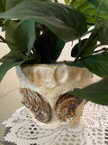 Handcrafted oyster shell relief planter with natural textured surface, showcasing artisanal design and coastal-inspired decor.