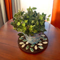 Handcrafted petal mosaic wooden plant stand with multiple tiers, showcasing colorful floral patterns and sturdy craftsmanship.