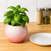 Pink Mother of Pearl Bowl Planter | Pink Vase | Scalloped Shaped Shells | Large Pink Planter
