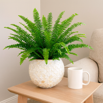 Artisan mother of pearl scalloped globe planter with intricate shell pattern and decorative design, ideal for indoor or outdoor use.