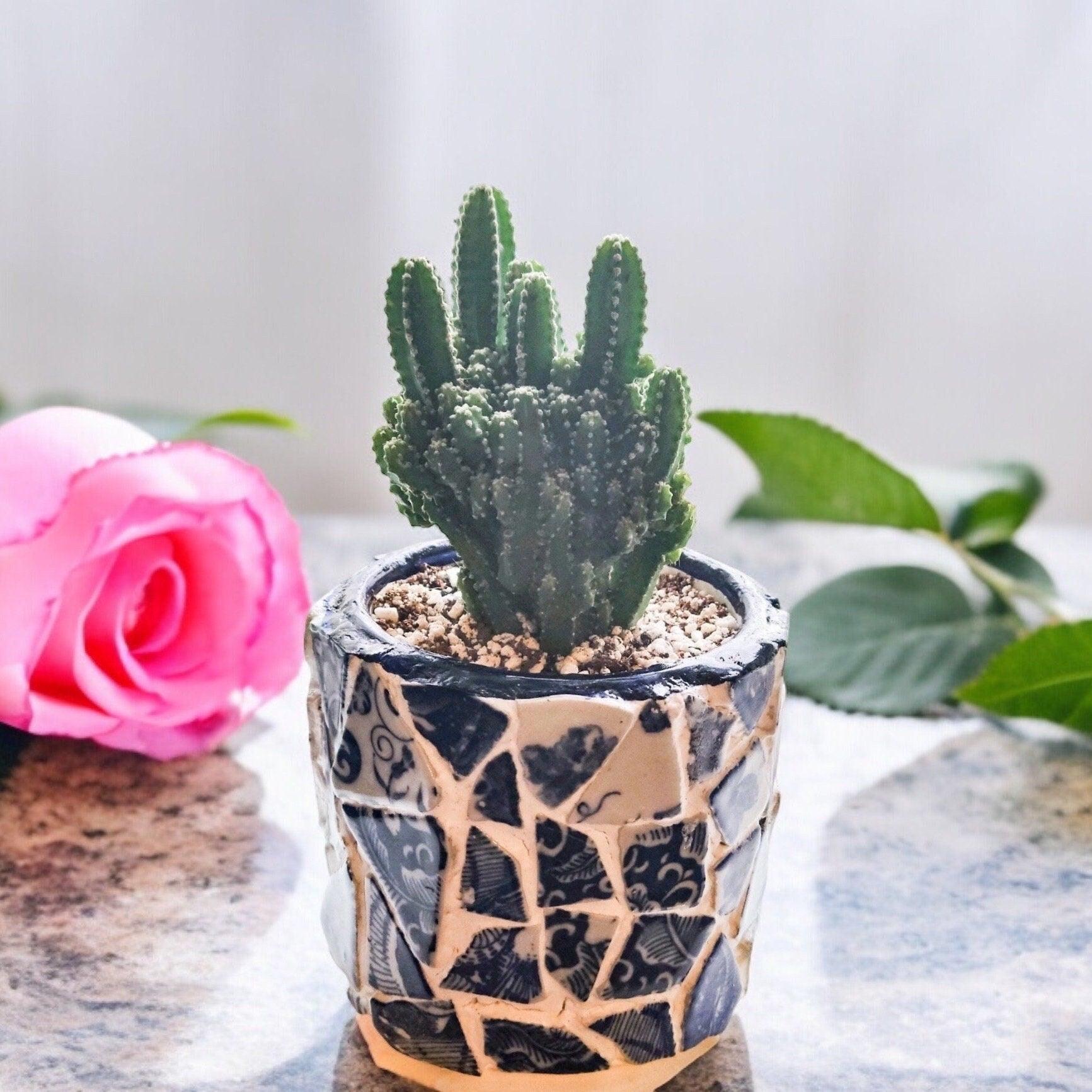 White broken china mosaic planter with intricate mosaic pattern, ideal for indoor or outdoor plant display.