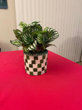 Modern green and white checkerboard mosaic herb planter with a ceramic finish, perfect for indoor or outdoor herb gardening.