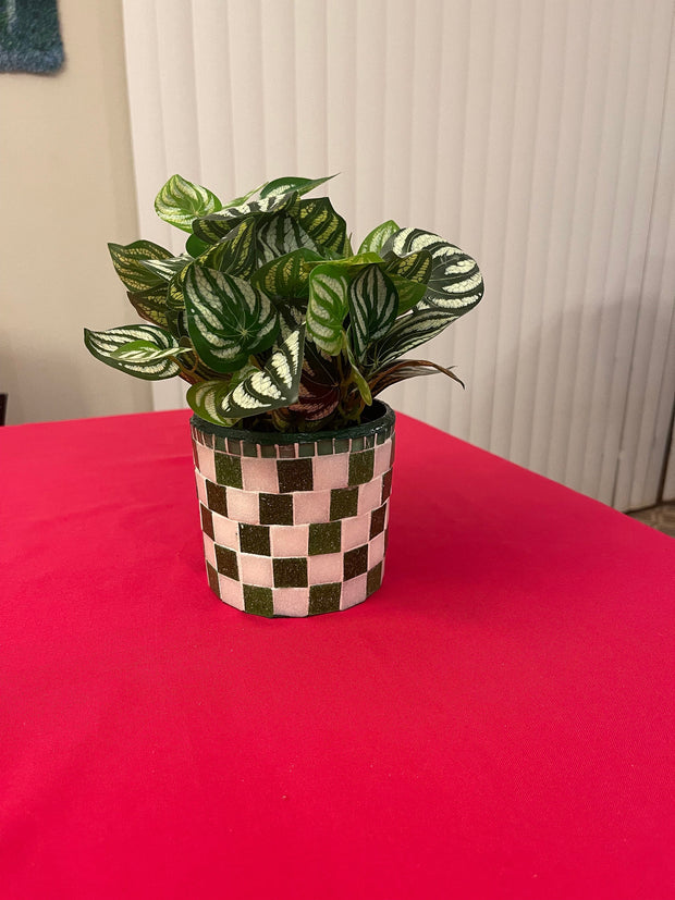 Green and White Planter