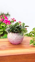 Handcrafted pink scalloped mosaic bowl with an ombre design, featuring intricate mosaic pattern and vibrant pink hues.