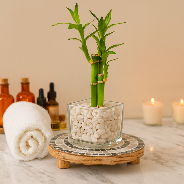 Indoor Garden Mother-Of-Pearl Plant Stand