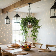 Mirrored Hanging Planter