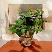 9.5” Tall X 6” Ceramic Mosaic Planter