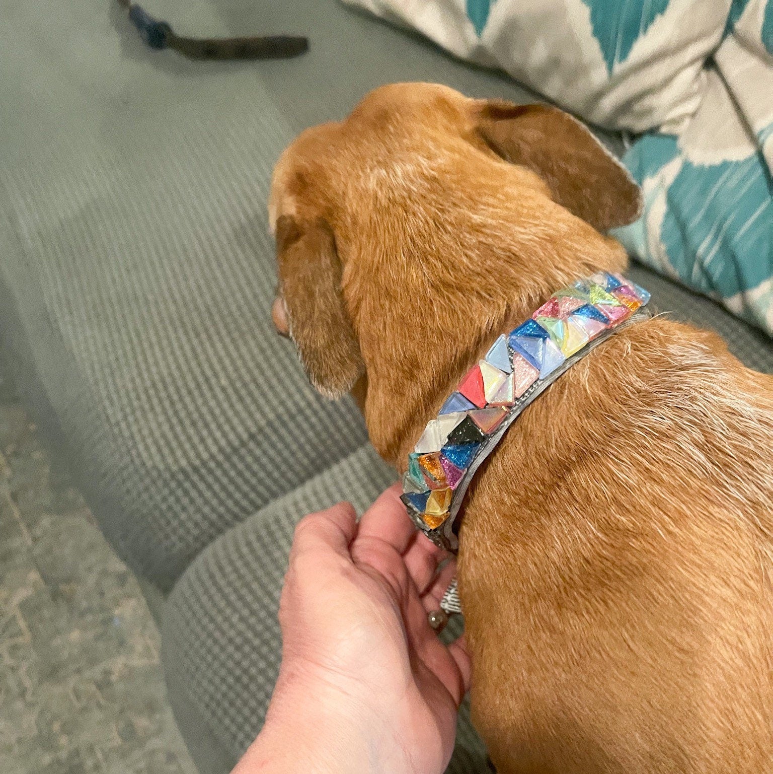 Handmade one-of-a-kind dog collar with colorful patterns and sturdy buckle, designed for a stylish and comfortable pet fit.