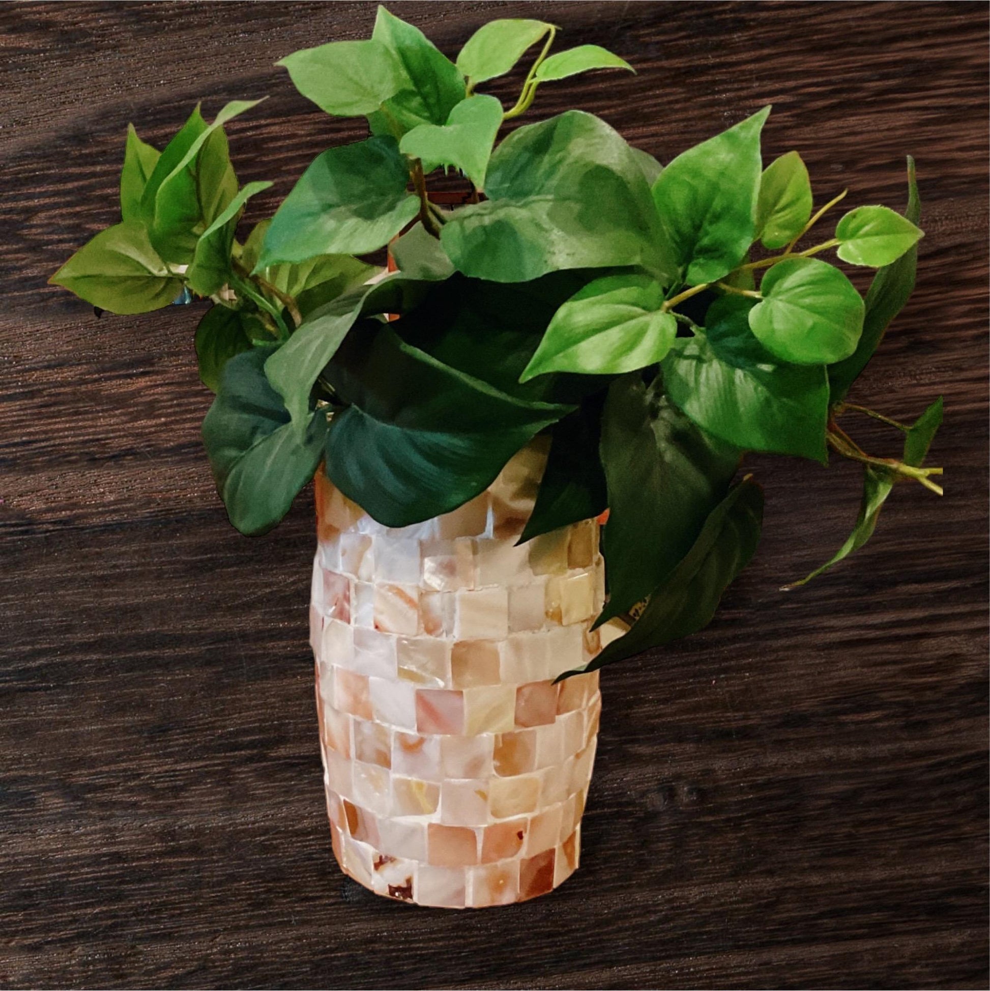 Ivory Coast Mother of Pearl cylindrical vase with iridescent finish, elegant home decor piece.
