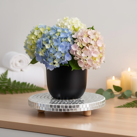 Handmade Mirrored Stand for Plants or cosmetics