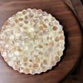 Decorative 10-inch scalloped plant stand with a mother of pearl finish, featuring a stylish design for indoor plants.