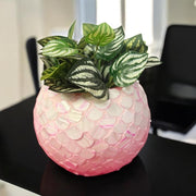 Pink Mother of Pearl Bowl Planter | Pink Vase | Scalloped Shaped Shells | Large Pink Planter