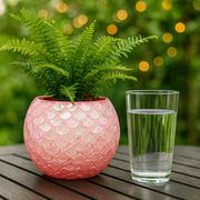 Pink Mother of Pearl Bowl Planter | Pink Vase | Scalloped Shaped Shells | Large Pink Planter