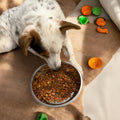 Custom dog and cat feeding bowl with personalized design, featuring a ceramic bowl with colorful paw print pattern.