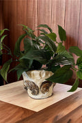 Handcrafted oyster shell relief planter with textured oyster shell design, ideal for decorative indoor or outdoor plant displays.