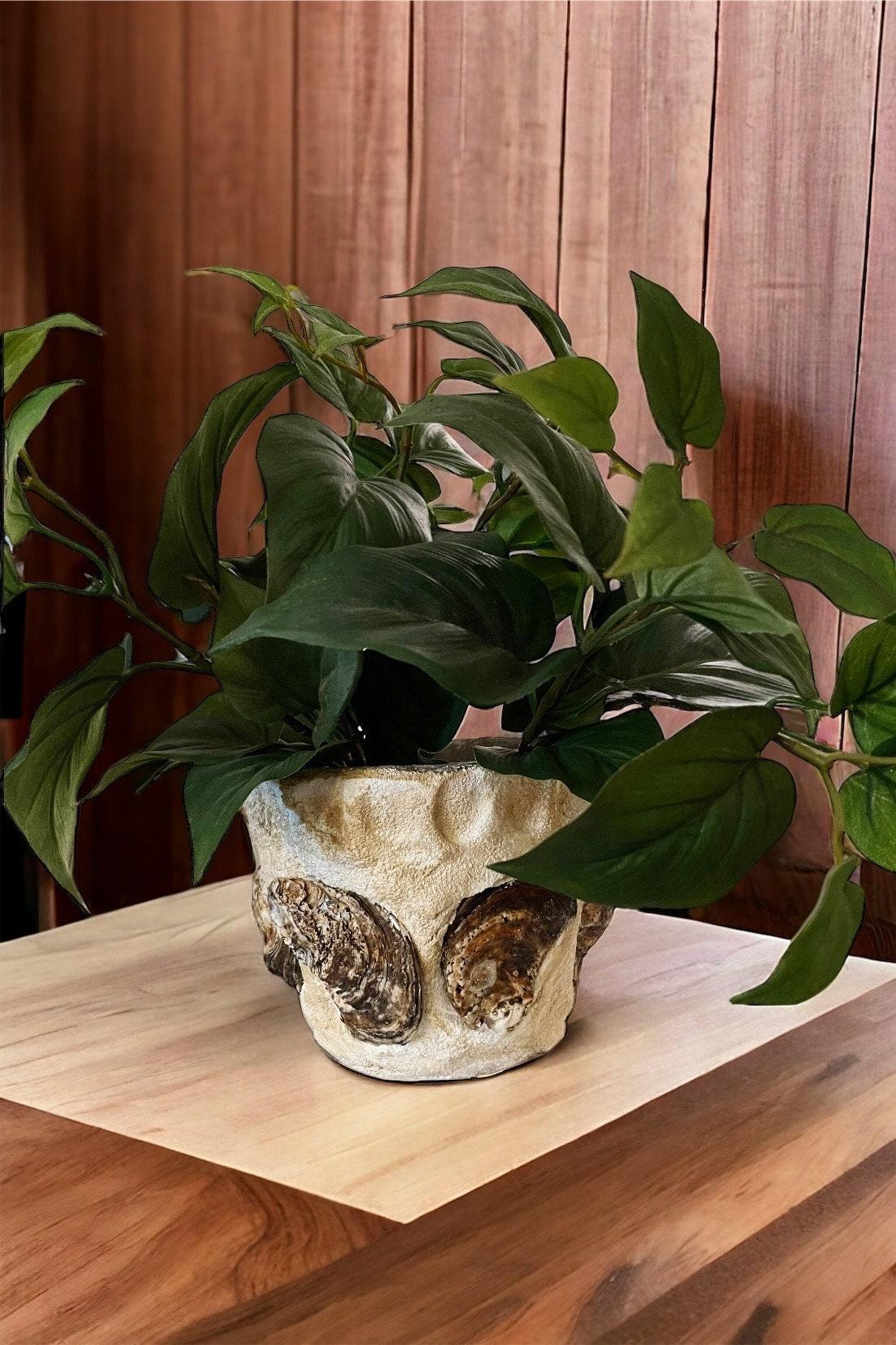 Handcrafted oyster shell relief planter with textured oyster shell design, ideal for decorative indoor or outdoor plant displays.