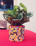 Colorful handcrafted rainbow mosaic planter with vibrant tile patterns, perfect for indoor or outdoor plant display.