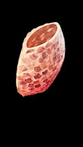 Handcrafted Mother of Pearl Mosaic Oval Vase with intricate, iridescent shell patterns on a smooth ceramic surface.