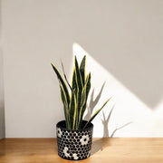 Black and White Planter | Mosaic Planter | Tile Plant Pot | 12” Planter | Decorative Planter | Boho Planter | Maximalist Planter
