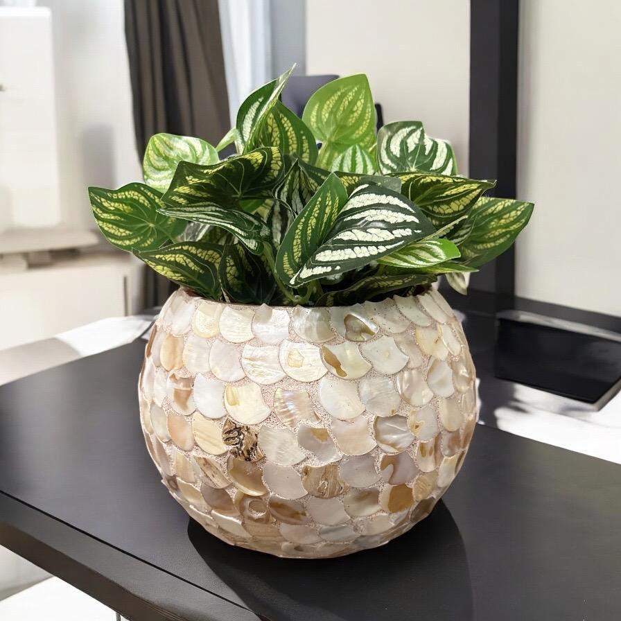 Handcrafted scalloped Capiz shell globe vase with a smooth, rounded design and intricate shell details, perfect for decorative display.