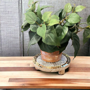 Plant Lovers Gold Plant Stand
