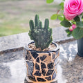 White broken china mosaic planter with colorful tile accents, handcrafted decorative garden container for indoor or outdoor use.