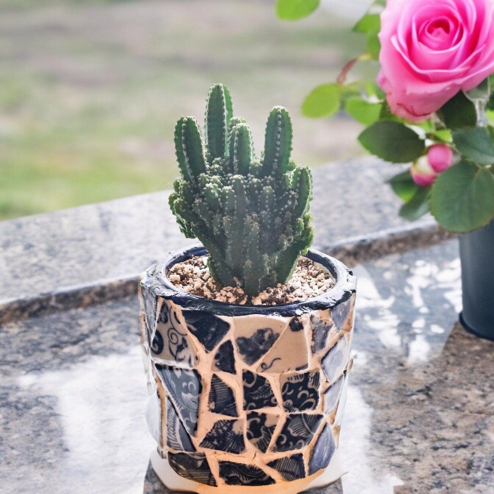 White broken china mosaic planter with colorful tile accents, handcrafted decorative garden container for indoor or outdoor use.