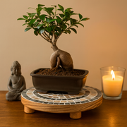 Indoor Garden Mother-Of-Pearl Plant Stand