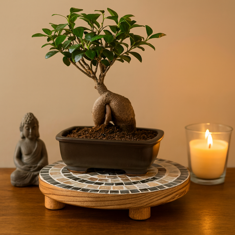 Indoor Garden Mother-Of-Pearl Plant Stand