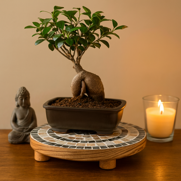 Indoor Garden Mother-Of-Pearl Plant Stand