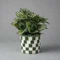 Modern green and white checkerboard mosaic herb planter with square design, perfect for indoor or outdoor herb gardening