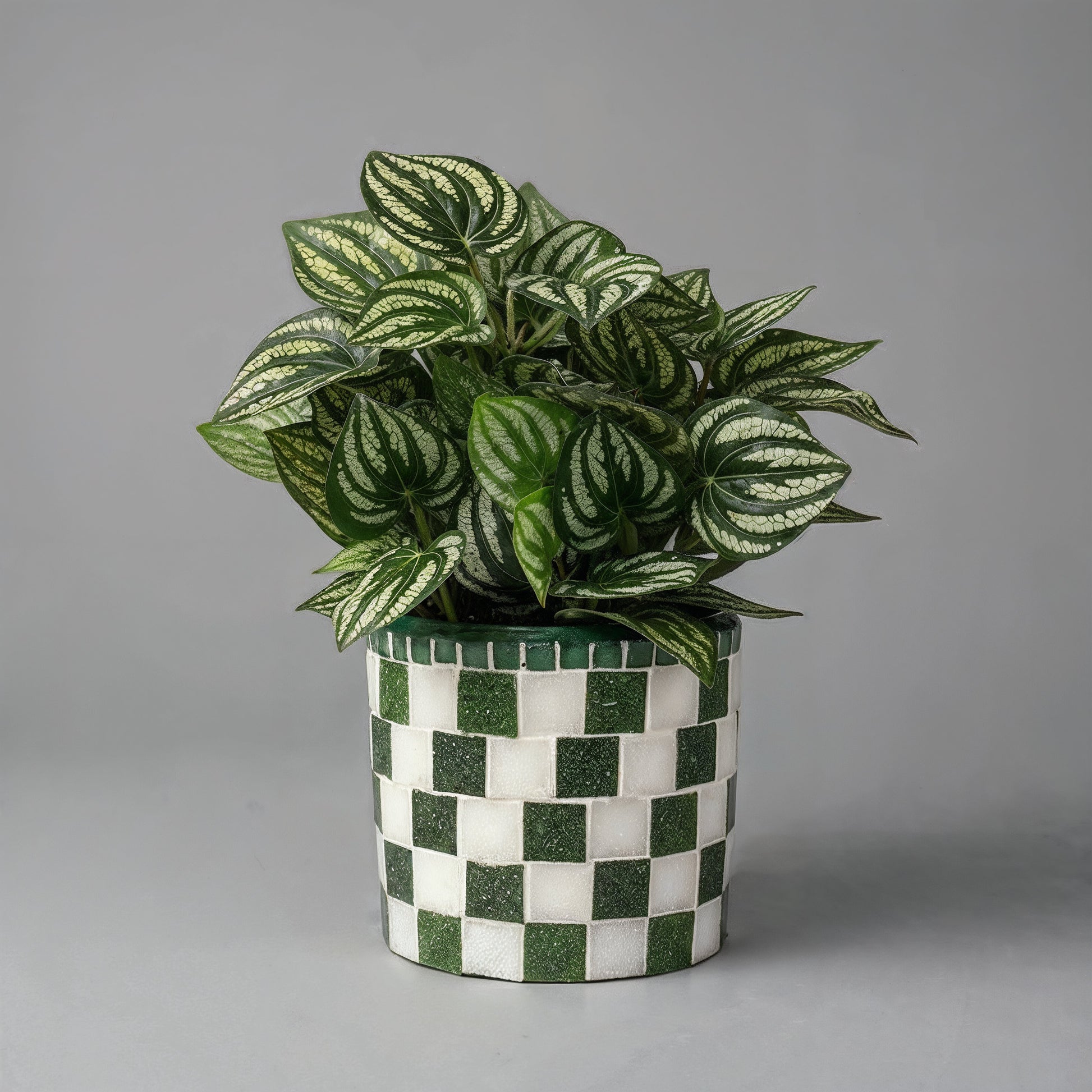 Modern green and white checkerboard mosaic herb planter with square design, perfect for indoor or outdoor herb gardening