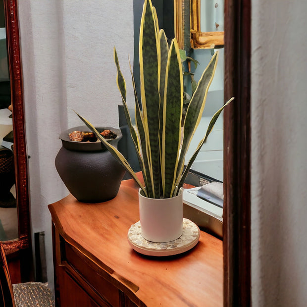 Large Light Wood Look Handmade Plant Stand