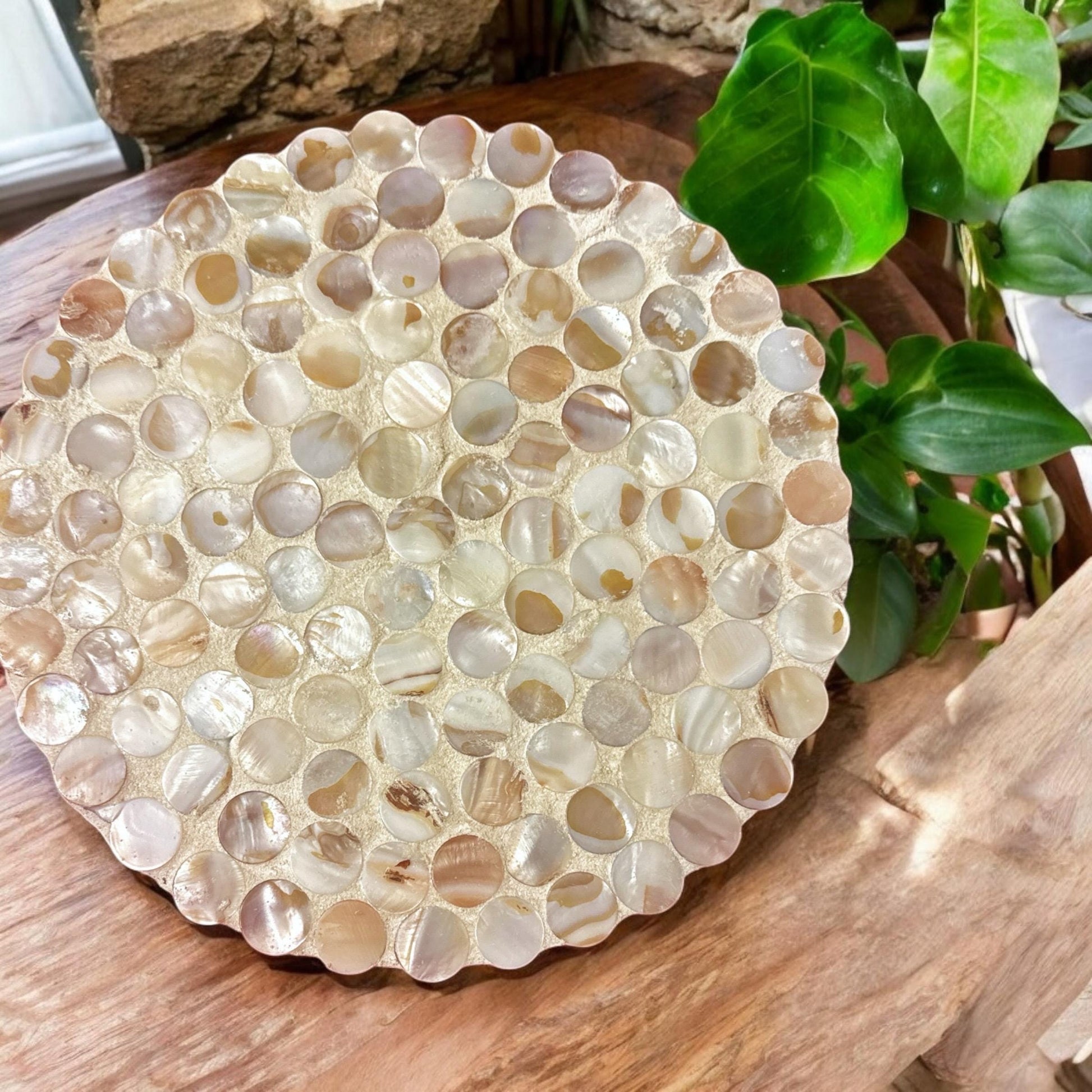 10-inch scalloped mother of pearl plant stand with intricate shell design and sturdy base for decorative indoor plants