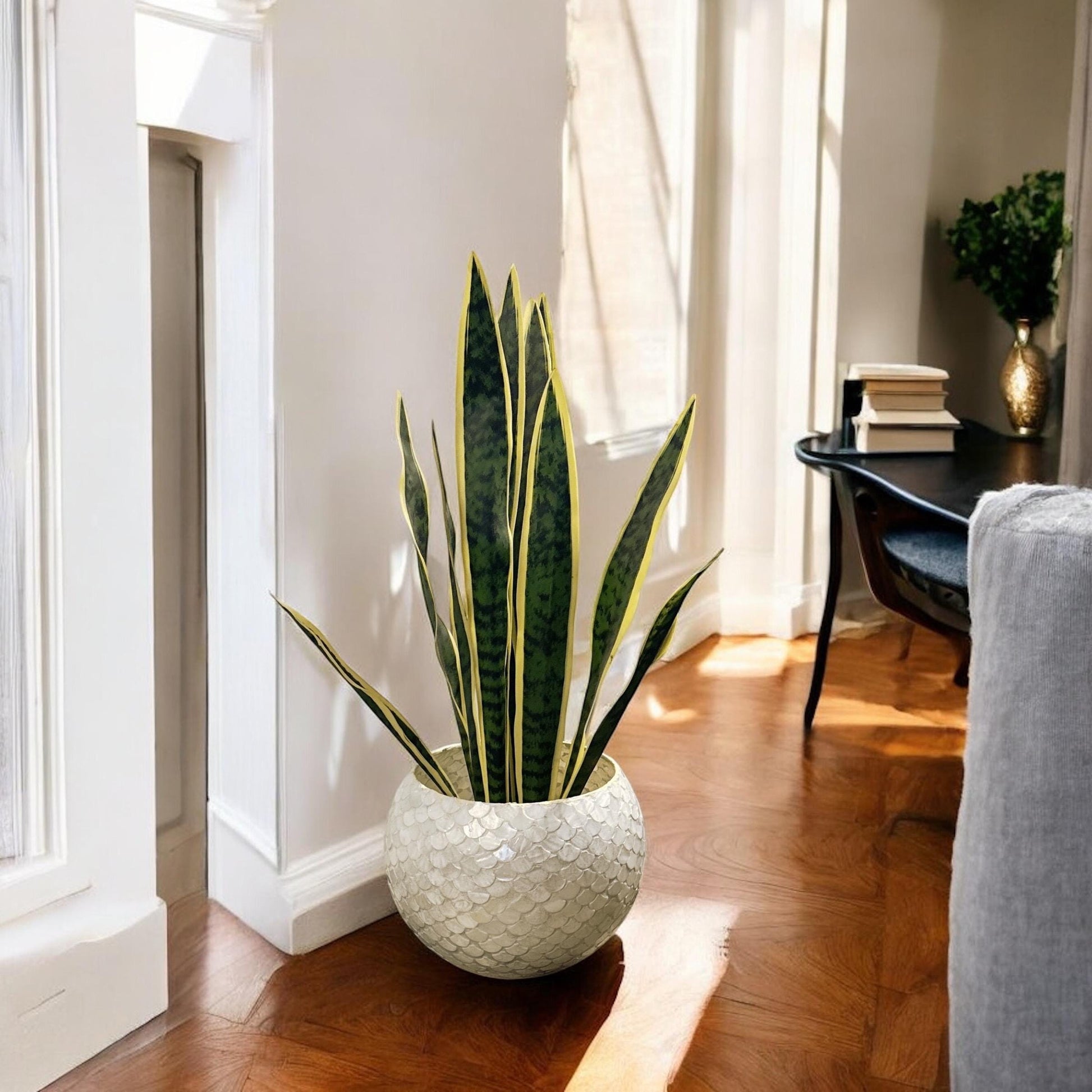 Luxurious scalloped ceramic planter with faux snake plant, modern home decor, durable and stylish indoor plant holder.
