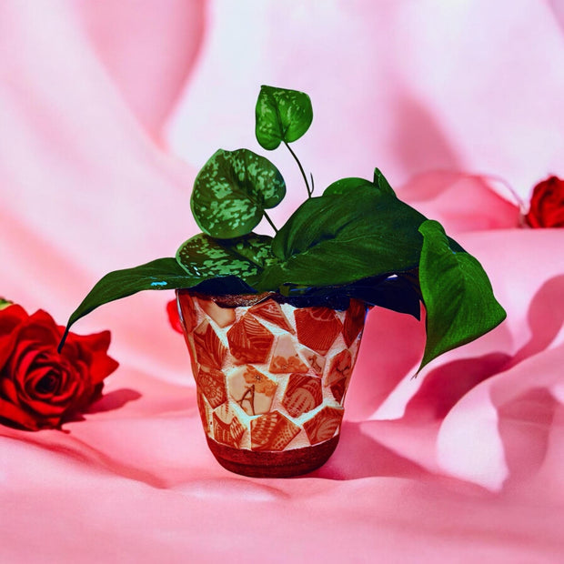 Red and White Pot | Broken China | Plant Lovers.