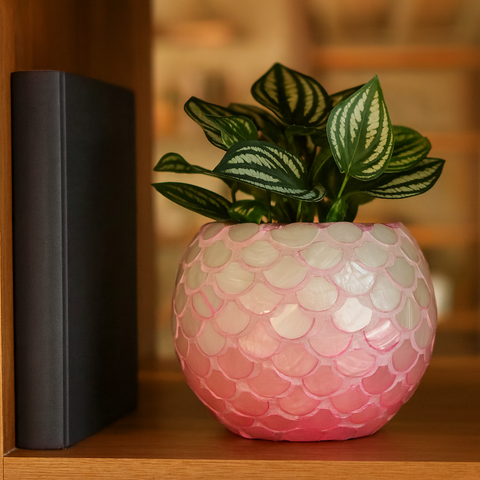 Pink Mother of Pearl Bowl Planter | Pink Vase | Scalloped Shaped Shells | Large Pink Planter