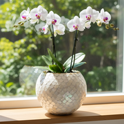 Mother of Pearl Planter | Large Planter | 12 Inch Planter | Extra Large Vase | Mosaic Planter | Large White Plant Pot | Pearl Mosaic