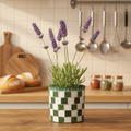 Modern green and white checkerboard mosaic herb planter with square design, perfect for indoor or outdoor herb gardening.