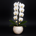 Artisan mother of pearl scalloped globe planter with intricate shell design for indoor decor.