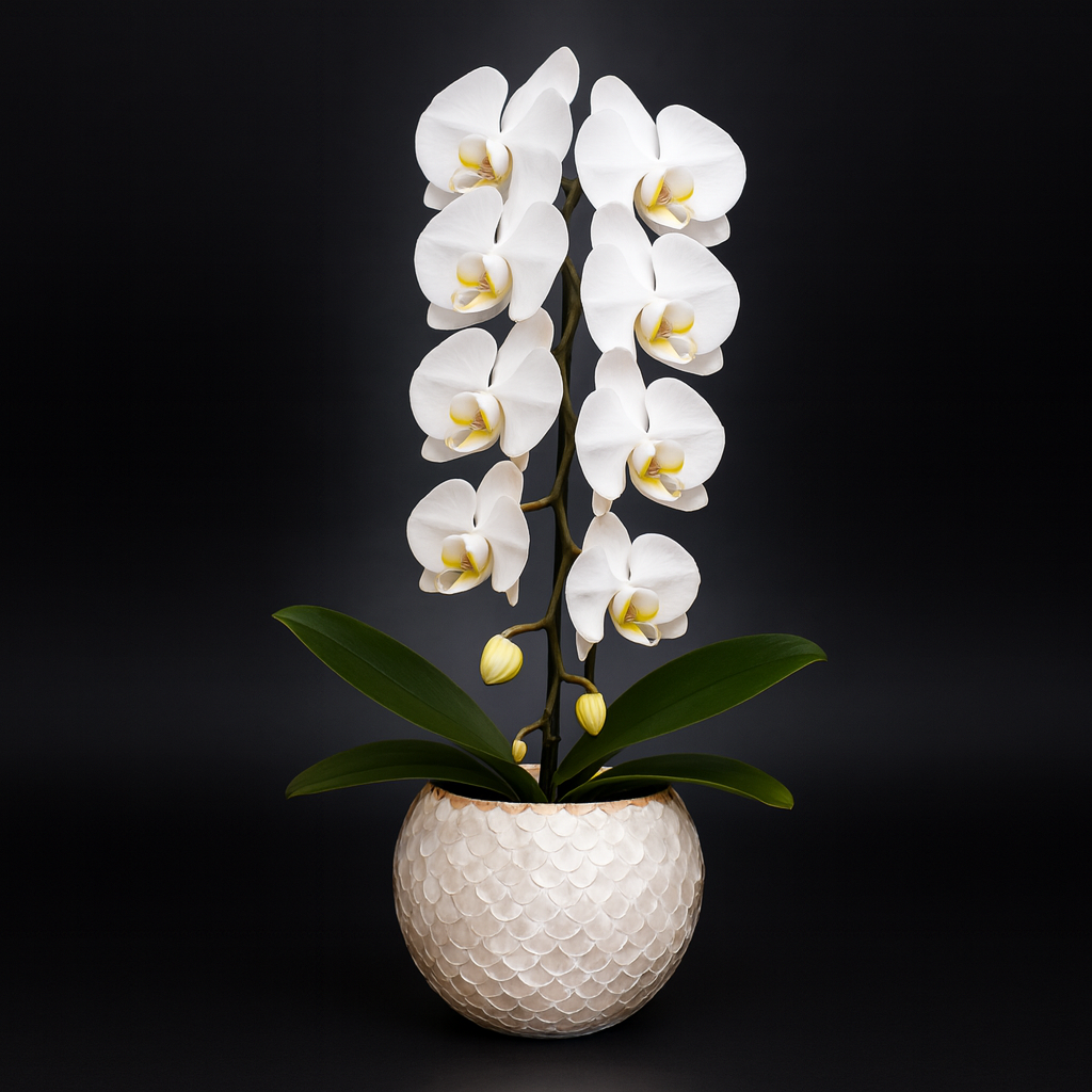 Artisan mother of pearl scalloped globe planter with intricate shell design for indoor decor.